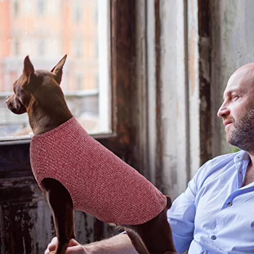 Hundeshirt für Mittelgroße Hunde | Sommer Hund T-Shirt Atmungsaktiv & Leicht | Weich & Bequem, Rundhals Design | Hunde Bekleidung | Schlank Französische Bulldogge, Beagle (Rot L)