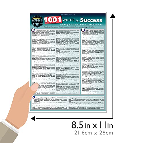 1001 Words For Success - Synonyms, Antonyms & Homonyms: A Quickstudy Laminated Reference Guide (Quickstudy Reference Guide) #TOP3