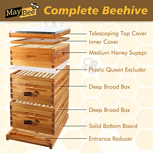 Maybee 10-FRAMEHIVE-2 10-Frame Langstroth Beehive Dipped In 100% Beeswax thumb #1