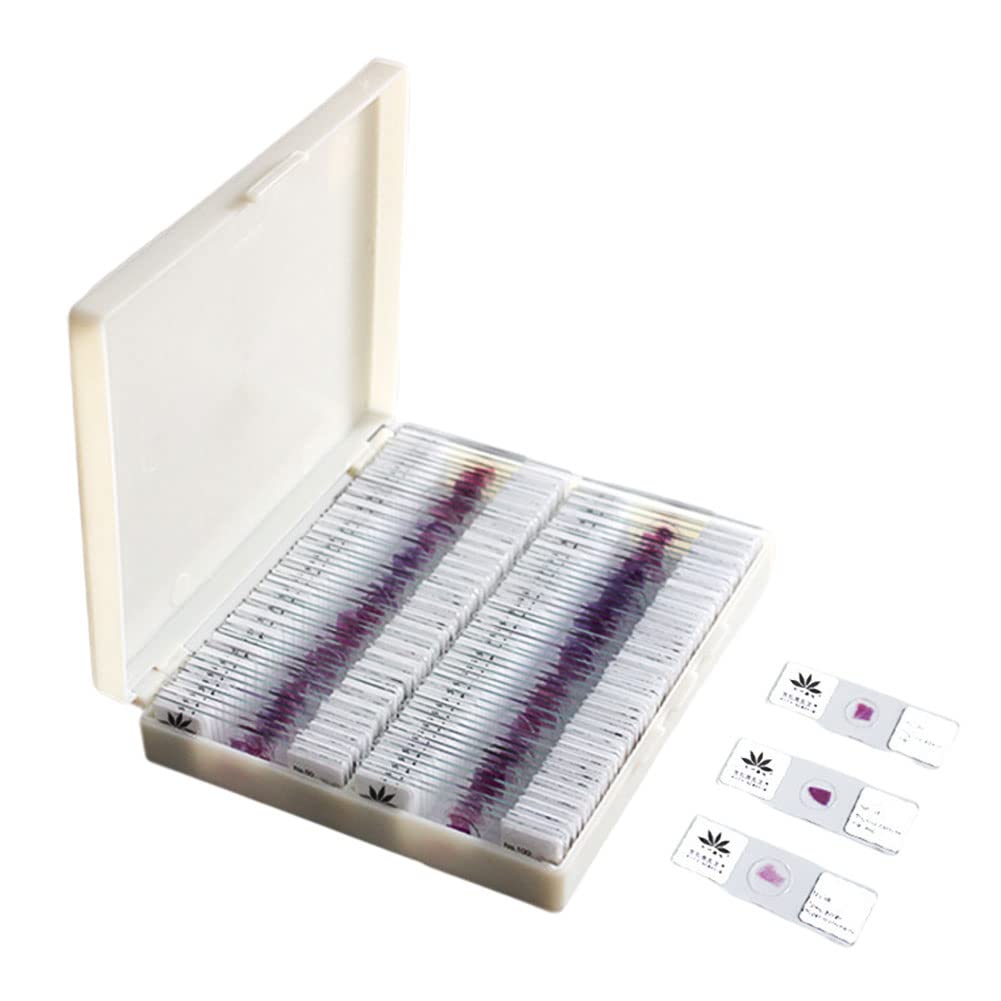 HE Stain szkiełka mikroskopowe z komórek ludzkich – 100 szt. szkiełek histopatologicznych do badań biologii laboratoryjnej, wyraźne obrazowanie, jednolite farbowanie, wysoka przejrzystość – idealne do