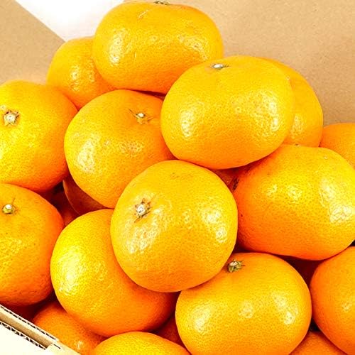 国産 温州みかん 3kg (秀品/常温品) 柑橘類 みかん ミカン 蜜柑 ギフト 贈り物 贈答 お祝い 内祝い ご家庭用 果物 フルーツ お取り寄せ