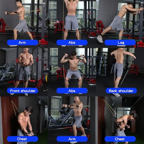 Image of WHATAFIT Resistance Bands, Workout Bands Set with Handles, 100 lbs Exercise Bands for Home Gym, Includes Door Anchor and Ankle Straps for Full Body Strength Training and Physical Therapy