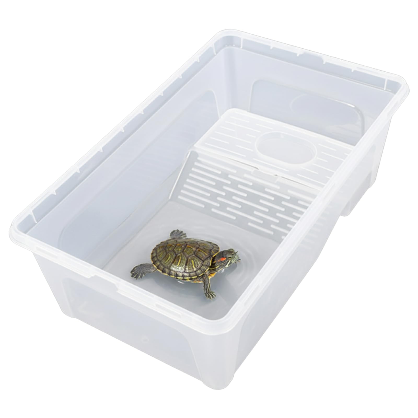 Amazon | ideamall 亀 水槽 カメ 亀の水槽 タートルボックス 飼育