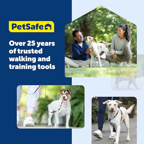Image of PetSafe Nylon Dog Leash - Strong, Durable, Traditional Style Leash with Easy to Use Bolt Snap - 3 /8 in. x 6 ft., Royal Blue | Durable Nylon Leash with Easy on /off Bolt Snap Hook, Pairs Perfectly with Easy Walk Harness and Gentle Leader Headcollar