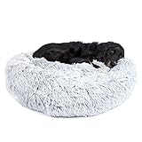 BarkBox Dog Bed, 2-in-1 Memory Foam Donut Cuddler Dog and Cat Bed, Calming Orthopedic Joint Relief...