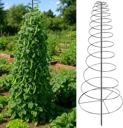 Spiral Frame Garden Trellis for Climbing Plants Outdoor - 12-72" Adjustable Heavy Duty Metal Support for Pole Beans,Snap Peas,Tomatoes,Cucumbers,Anti-Tip Plant Tower for Raised Beds, Backyard