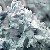 Pop Ambient 2017 / Various