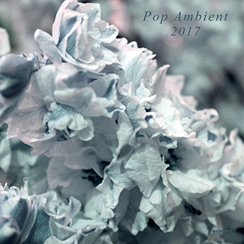 Kompakt - Pop Ambient 2017 / Various