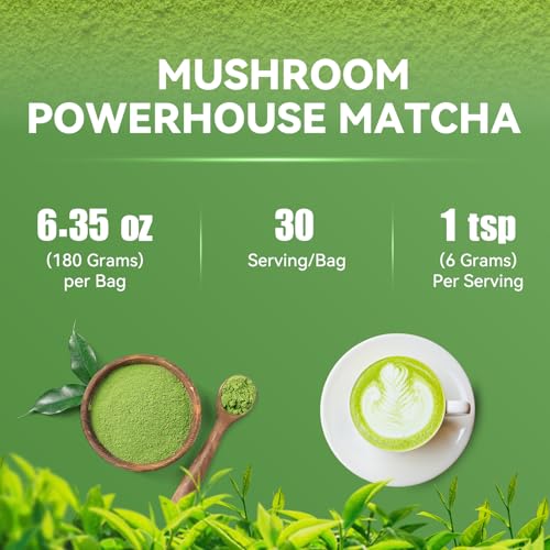 Polvo de Matcha con 6 Hongos Adaptógenos 30 porciones miniatura 6