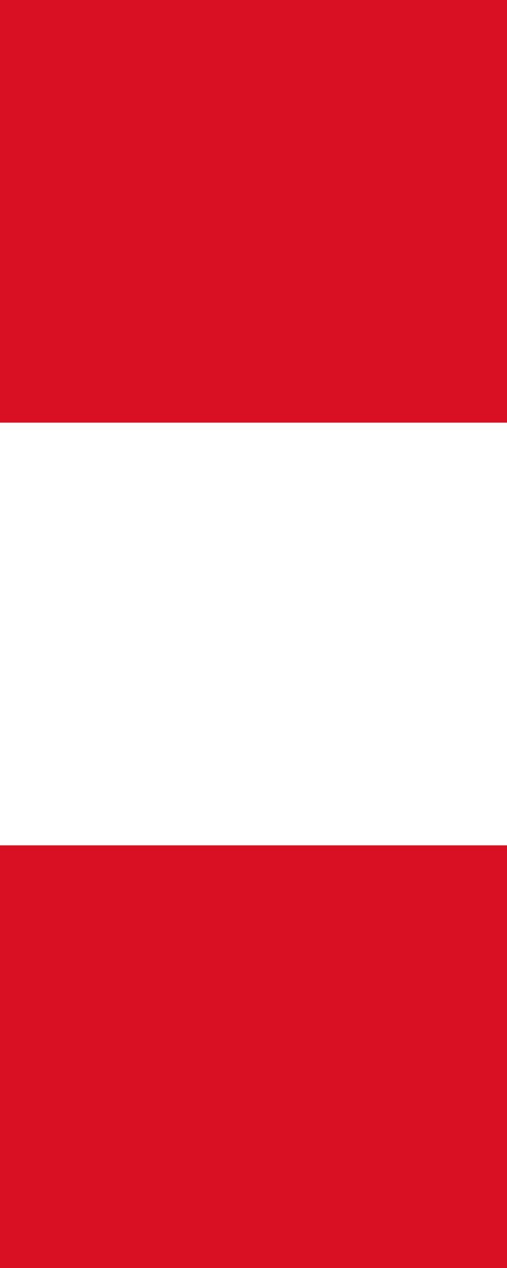 Drapeau Pérou vertical anti-enroulement 300x120cm pour mât géant