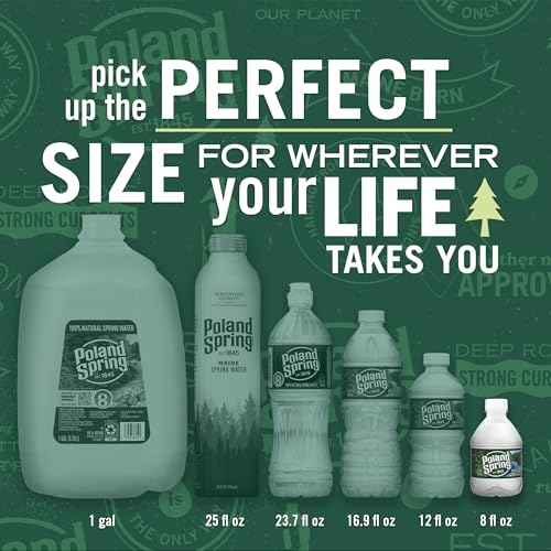 Poland Spring Maine Spring Water Bottles, 48 Pack – Crisp, Still Bottled Water with Naturally Balanced Occurring Minerals & Electrolytes for Taste - 8 Fl Oz