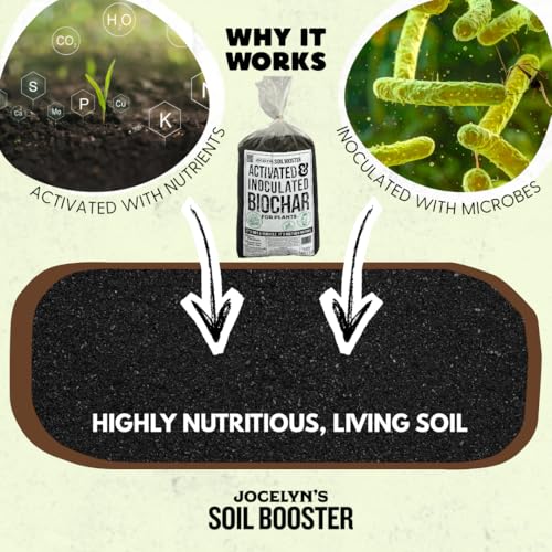 Jocelyn’s Premium Inoculated Biochar Soil Conditioner | Organic Activated Carbon with Living Microbes | Horticultural Charcoal for Raised Beds, Vegetable Gardens & Indoor Plants (2kg - 6L) by WASTENOT FARMS - Image 3