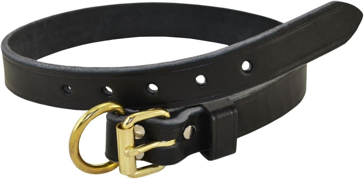 Ray Allen Mfg Signature K9 Adjustable Leather Dog Collar (Black, 3/4" Wide, fits Neck Sizes 14"–18")