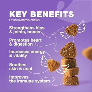 Dog-Vitamins-15-in-1-Dog-Multivitamin-Chews-with-MSM-for-Hip-Joint-Health-Dog-Supplement-for-Itchy-Skin-Relief-Multivitamin-for-Dogs-Immune-Support-with-Enzymes-Skin-Coat-Mobility-Support - Cucciolini Doodles   Dog-Vitamins-15-in-1-Dog-Multivitamin-Chews-with-MSM-for-Hip-Joint-Health-Dog-Supplement-for-Itchy-Skin-Relief-Multivitamin-for-Dogs-Immune-Support-with-Enzymes-Skin-Coat-Mobility-Support