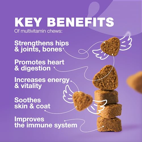 Dog-Vitamins-15-in-1-Dog-Multivitamin-Chews-with-MSM-for-Hip-Joint-Health-Dog-Supplement-for-Itchy-Skin-Relief-Multivitamin-for-Dogs-Immune-Support-with-Enzymes-Skin-Coat-Mobility-Support - Cucciolini Doodles   Dog-Vitamins-15-in-1-Dog-Multivitamin-Chews-with-MSM-for-Hip-Joint-Health-Dog-Supplement-for-Itchy-Skin-Relief-Multivitamin-for-Dogs-Immune-Support-with-Enzymes-Skin-Coat-Mobility-Support