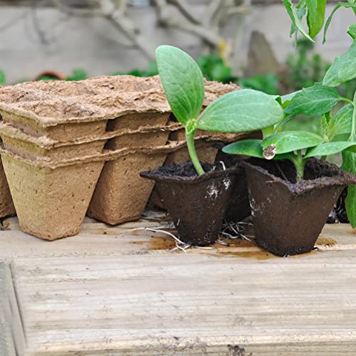 Image of OTYMIOW 200 Cells Seedling Trays, 20PCS Seed Pots and Trays, Seed Starter Trayss Kit Germination Plant Pots Germination Planting Pot Starter Pot Kit Indoor Outdoor + Label Papers 40 Packs