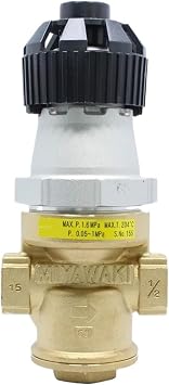 Arionyx Direct Decompress Valve Pressure Reducing Valve for Steam RE1 DN15, DN20, DN25DN20