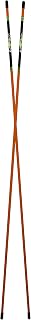 A Swing Alignment Rods 2-Pack by David Leadbetter (MoRodz)