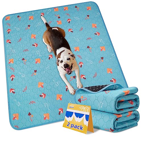 Image of Sunheir Washable Pee Pads for Dogs, 2-Pack Reusable Puppy Pads, Waterproof Non-Slip Wee Wee Pad, Absorbent and Leakproof Training Mats for Potty, Crate, Playpen, Bed, Sofa, 24 inchx 36 inch