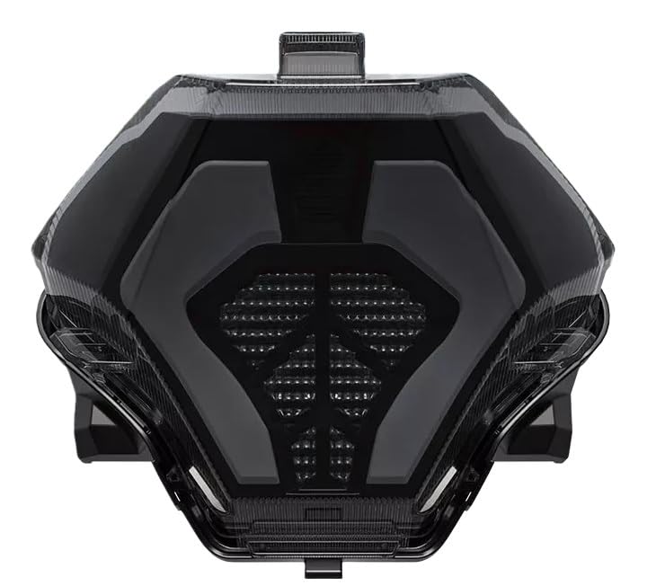 Luces de freno traseras de alta visibilidad con lámparas de conducción para YZF R3 y R25