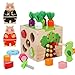 Qinkada Wooden Garden Toy, Toddler Montessori Toys for Baby Boys Girls, Wood Preschool Learning Fine Motor Skills Game, Educational Learning Toys for Toddlers