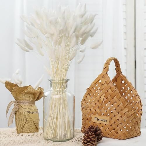 Image of TIED RIBBONS Set of 100 Pcs Natural Dried Bunny Tail Pampas Grass White Color Bunny Tail Pampas Boho Bouquet Artificial Flowers Decor for Table Vase Living Room Home Decoration (20 inch Length)