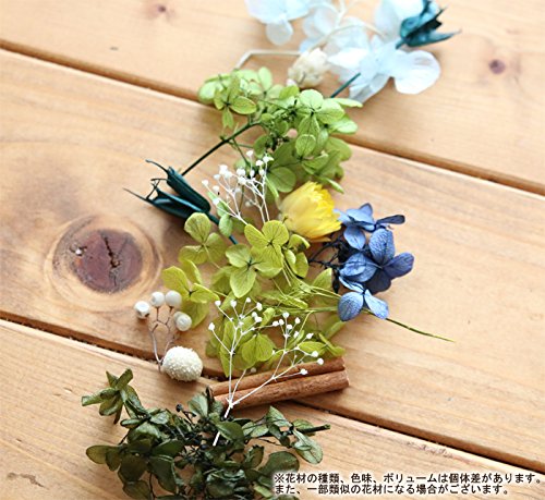ハーバリウム花材⑨◆【訳あり花材〈プリザーブドフラワー〉】 Amazon｜ハーバリウム花材セット1本分（Studyroom）｜プリザーブド
