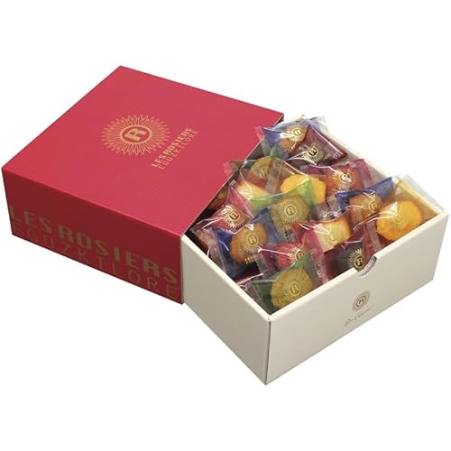 yΕMtg 2025z   WF GMXL[ v`Kg[ (Ε̂)