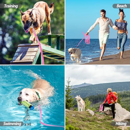 Schleppleine für Hunde, Laufleine für Hunde – Verstellbare Hundeleine mit Gepolstertem Griff inkl. Aufbewahrungstasche, Ideal für Training, Spaziergänge und Outdoor (Rosa, 20m/64ft)