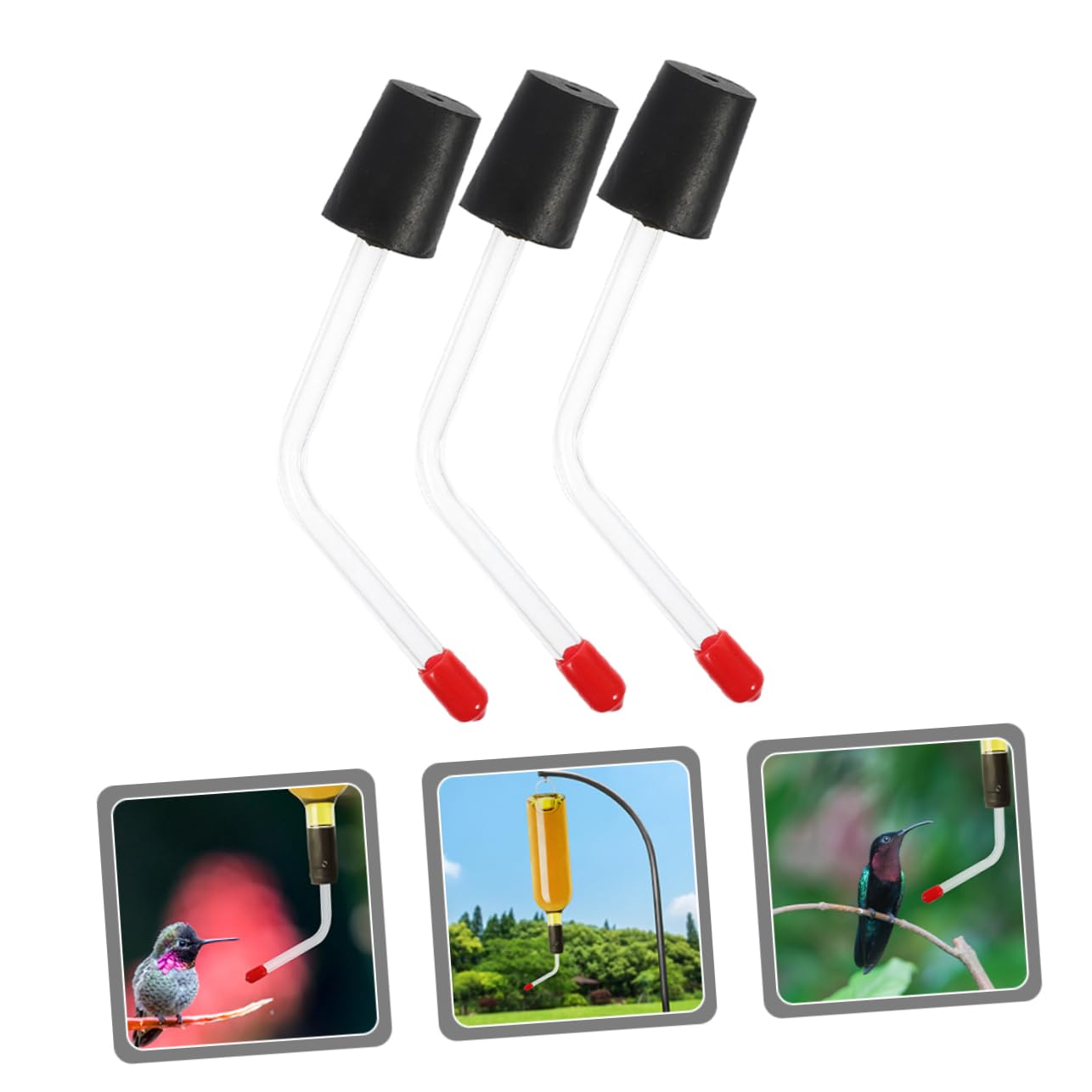 HEMOTON 4 Ensembles Mangeoire pour Colibris en Buvant Tube De Mini Mangeoire À Colibris Tubes d'alimentation pour s À Main pour s Plastique 3 Pièces * 4
