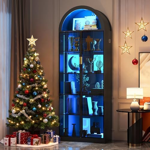 Dystler 76" Tall Arched Display Cabinet with Doors, Black