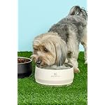 STANLEY Pet Bowl | 3-Cup (24 oz) Insulated Stainless Steel Dog & Cat Bowl | Splash-Resistant Lid | Dishwasher Safe | BPA-Free | Cream - Image 7
