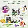 AESHORY Set di Oli Essenziali per Diffusori 6 x 10ML, 100% Puri Naturali Olio Essenziale Profumate per Aromaterapia, SPA, Massaggio - Lavanda, Tea Tree, Menta Piperita, Eucalipto, Arancia Dolce #4