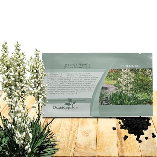 Outsidepride Adam's Needle Yucca Seeds for Planting - 100 Pcs