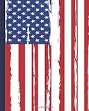 Planner: Goal Planner, US Flag Design Monthly/Weekly/Daily organizer for Men + New Year resolution list, shopping tracker, Books-to-read list, budget planning and  motivational quotes