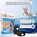 SafeHarbor Motion Sickness Relief and Anti Nausea Kit for Your Cruise Essentials | 2 Motion Sickness Bands 10 Natural + Herbal Relief Patches| Works for Children and Adults | Helpful E-Book Included
