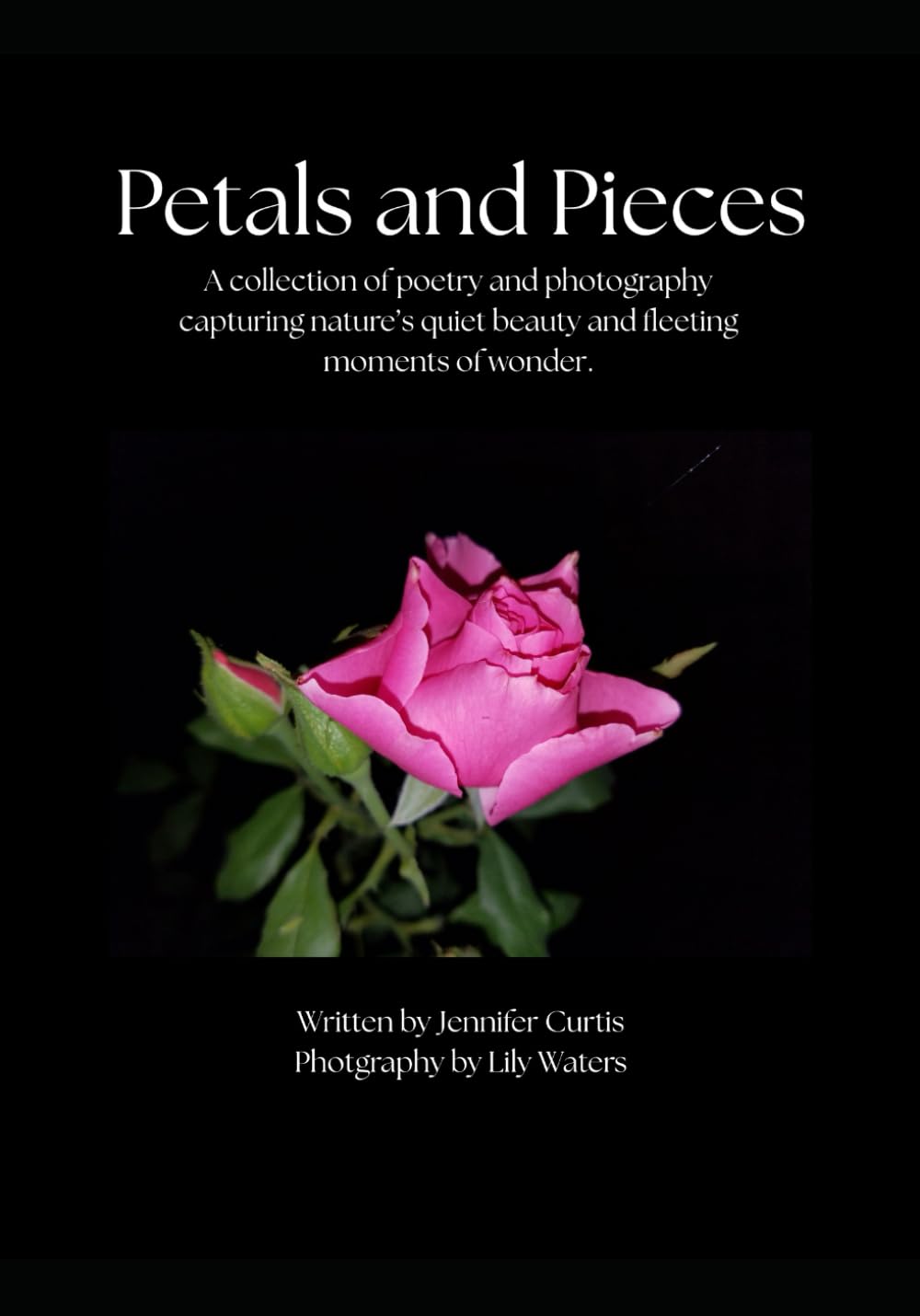 Petals and Pieces: A collection of poetry and photography capturing nature’s quiet beauty and fleeting moments of wonder.