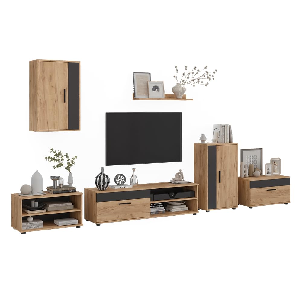 Vicco Parete attrezzata soggiorno Berno, Rovere dorato/Antracite, Set da 6 pezzi