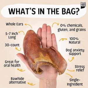 Pig Ears for Dogs whole 30 Pack Healthy Highly Digestible All Natural Pigs Ears Longlasting Dog Chews Pork Dog Chew Treat Cucciolini Doodles Pig ears for dogs whole 30 pack healthy highly digestible all natural pigs ears long lasting dog chews pork dog chew treat cucciolini doodles