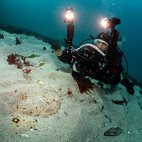 Sola Video Pro 3800 Fc #TOP4