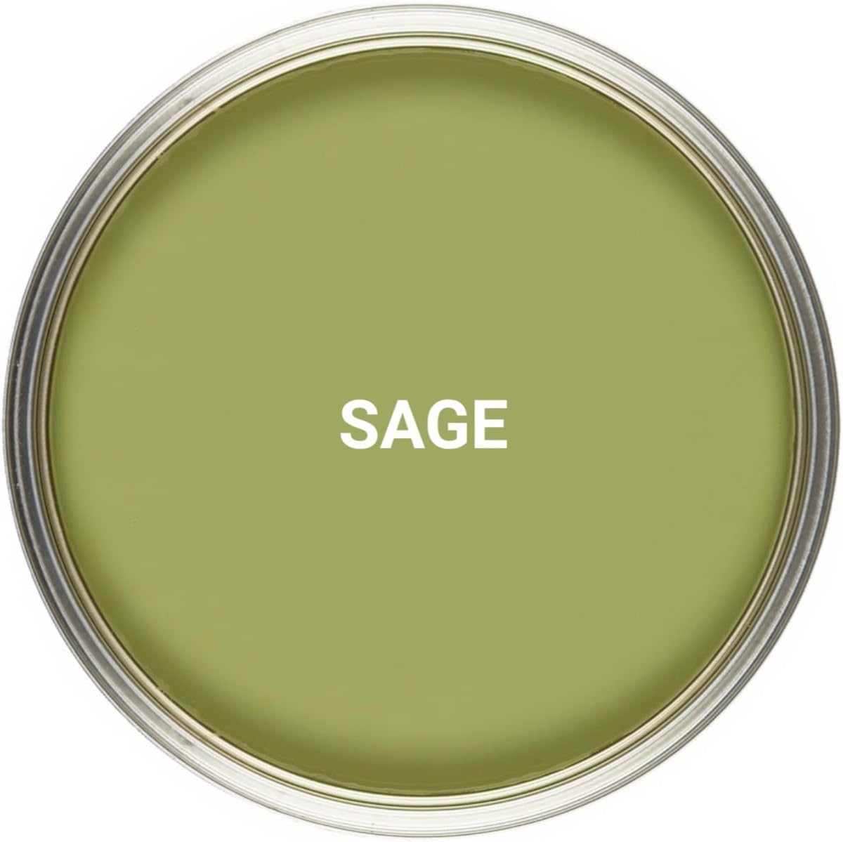 Vintro Paint Green Eggshell Paint for Walls Wood Trim Satin