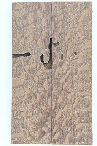 Unique Wood Knife Scales â Knife Handle Material - Wood Scales - Wood Handle Material for Knives - Knife Making Supplies â Gun Grip Handle Material - Payne Bros - Knives of Payne (02.21.258)