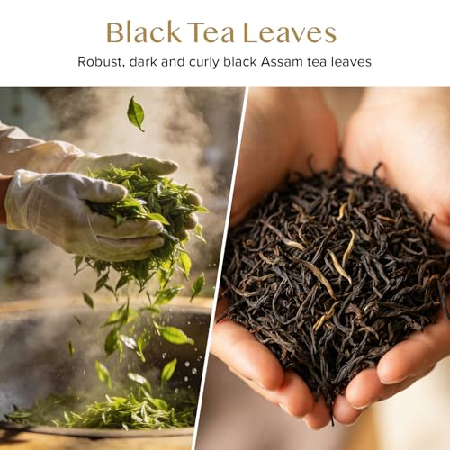 VAHDAM Assam Black Loose Leaf Tea (340g)