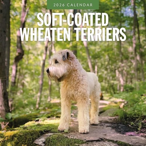 Soft-coated Wheaten Terriers - 2026 Square Wall Calendar - by Red Robin Publishing