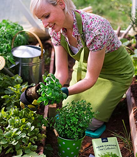 Herb Seeds Variety Pack | Organic, Non Gmo Herb Plant Seeds For Planting Indoors Or Outdoors | Grow Fresh Mint, Basil, Cilantro And More | Scan The Qr Code On Packets For Planting Guide #TOP5