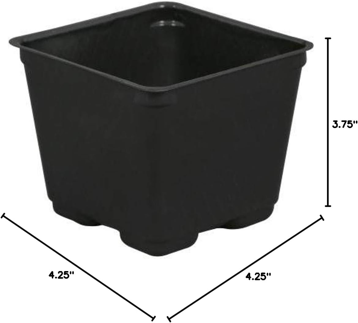Gro Pro Square Plastic Pot Black 4-Inch, 88-Pack