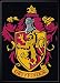 Ata-Boy Harry Potter Gryffindor Crest 2.5" x 3.5" Magnet for Refrigerators and Lockers