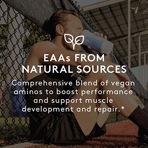 RSP Vegan AminoLean – Pré-treino totalmente natural com BCAAs veganos, AminoEnergy, Gerenciamento de