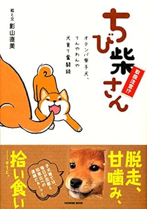 Amazon.co.jp: 柴犬ゴンのへなちょこ日記 新装版 (メディア