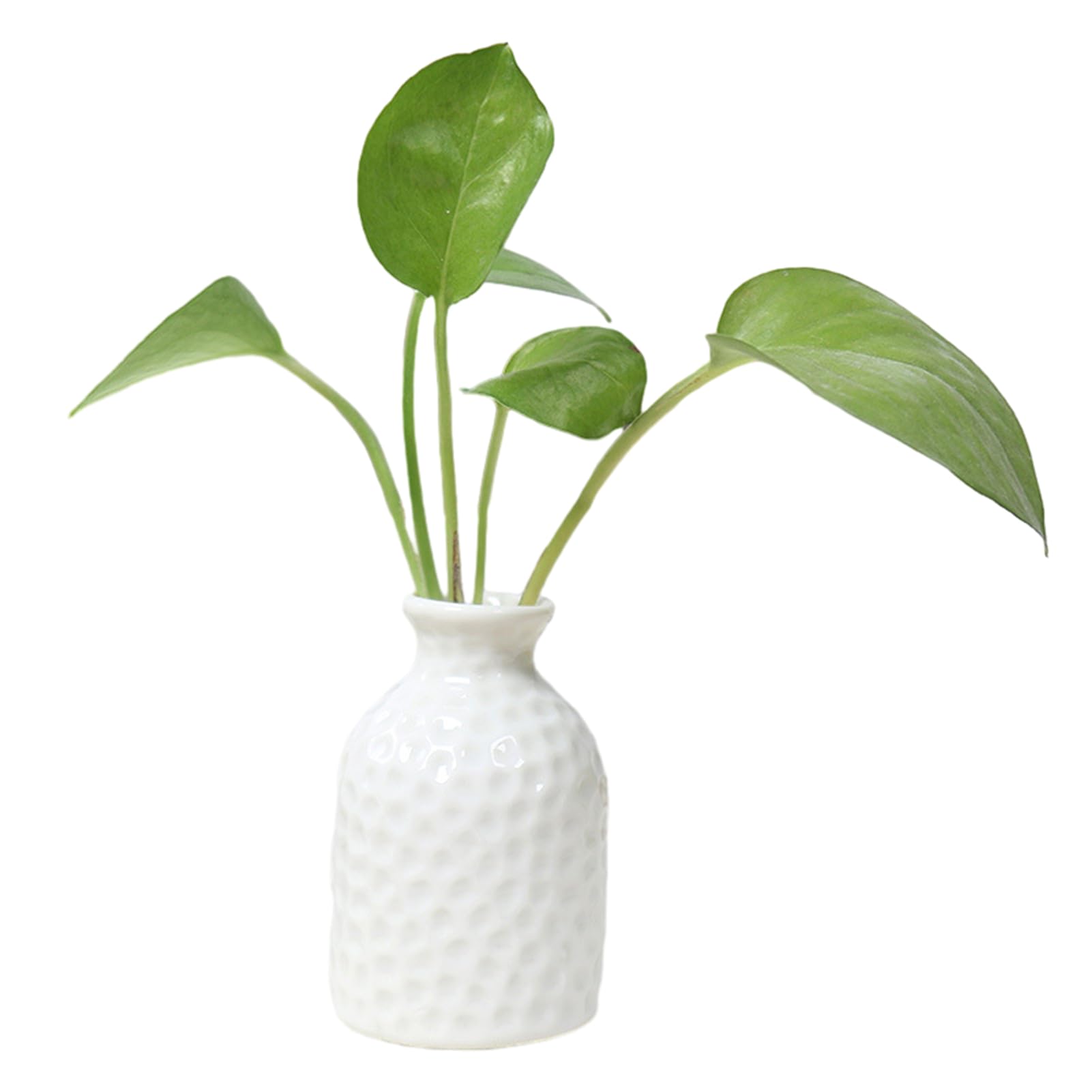 VALINK Small Ceramic Vases for Flowers Decorative Vase Mini Desktop Ceramic Vase Floral Ceramic Vase Decor for Home Bedroom White